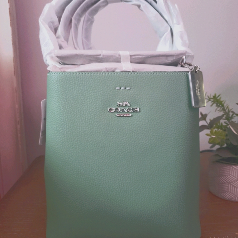 Coach small town bucket bag